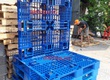 Pallet nhựa kê hàng giá rẻ 