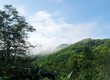 Chính chủ bán vườn suối đá gần thác Dakala Triệu Hải, Đạ tẻh, Lâm Đồng.