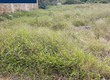 Mặt tiền đường nhựa Lê Lợi, KĐT LA VANG HẢI LĂNG Quảng Trị 0971.599.589 