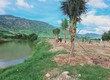 Mua Bán Đất Vườn Khánh Vĩnh, Khánh Hòa, Giá Chỉ 350 Triệu/1000m2, Lh: 0914.870.638 