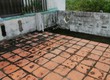 Chủ Thở Oxy Cần Bán Gấp Giá Sập Hầm 
