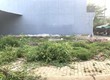 Bán lô đất phố Vũ Đức Thận   phía sau Savico Long Biên   96m2 ...