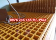 Công ty chuyên cung cấp sàn lót kháng hóa chất, thanh mép chống trượt bậc thang 