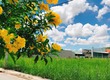 Chủ ngộp nợ giảm 200 triệu thanh lý gấp lô đất xã Quy Đức   Bình Chánh,...