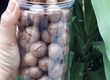 Hủ 500gr Hạt macca sấy nứt béo bùi mới không gắt dầu 