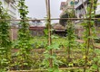 Bán đất 300m2 Việt Hưng   Long Biên   Giá thương lượng   LH: 085...