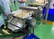 Máy Dò Kim Loại Hạt Nông Sản Chưa Đóng Gói 