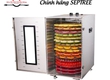 Tủ sấy thực phẩm 16 khay 