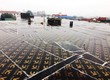 Ván Ép Phủ Phim Cốp Pha Phủ Phim giá rẻ 240k  QUẢNG BÌNH 