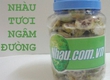 TRÁI NHÀU NGÂM ĐƯỜNG có tác dụng chữa đau lưng, xương khớp, gout, huyết áp cao, viêm đại...