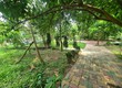 Cho thuê nhà vườn ở gần Bãi Đã 3400m2 đẹp như ảnh để nghỉ dưỡng hoẵ YoGa Sinh...