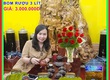 Bom rượu đông trùng hạ thảo KIMSOHA   Quà tặng sang trọng biếu sếp, mừng tân gia...
