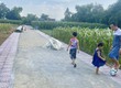 ĐẤT NỀN PHÚ HƯƠNG   ĐẠI LỘC   GIÁ GỐC CHỈ  Ệ/Ô 