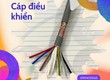 Cáp điều khiển Altek Kabel có lưới chống nhiễu SH 500 30G 0.75QMM 