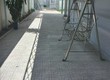 Cho thuê nhà vườn 500m2, Phú Mỹ. Vị trí trung tâm Thủ Dầu Một 