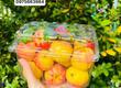 Hộp nhựa P1000B   Giải pháp bảo quản trái cây toàn diện. 