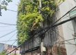 Bán siêu phẩm biệt thự phố 4 tầng, Diện tích 150m2, Đường Hoàng Diệu, Đà Nẵng, Chỉ 7,8...