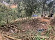 Bán đất thôn Tà Chải, Xã Tả Phìn, Thị xã Sa Pa 