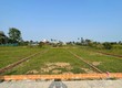 Đầu tư thông minh cho tương lai  chỉ từ 400 triệu đồng 