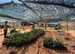 7 sào đất view biển siêu đẹp giá hạt dẻ hổ trợ trả góp 0LS 
