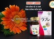 Đừng Bỏ Lỡ Cơ Sở Cung Cấp Men Vi Sinh Labre Cải Thiện Sức Khỏe 