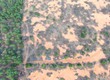 1 mẫu 4 đất vườn sát bên QL1A, trên đất đang trồng sẵn cây lâu năm