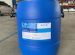 Lactobacillus acidophilus   Men vi sinh đường ruột 