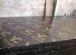 Ván ép phủ phim giá rẻ tại phúc thọ 