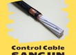 Cáp điều khiển, Cáp tín hiệu Sangjin RVV/RVVP 