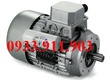 M50B Series M 2 Cực Động cơ 1 pha Nerimotori , Nerimotori Viet Nam 