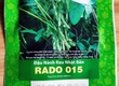 Hạt giống Đậu nành rau Nhật Bản Edamame Rado 015 