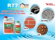 Chống thấm thẩm thấu R77 