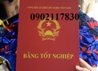 Bán bằng tốt nghiệp  thuê bằng tốt nghiệp hcm 
