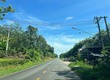 Đất Bình Dương 280m2, có thổ cư, sẵn sổ 