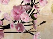 Tranh dán tường khổ lớn tại Hải Phòng 