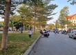 Đất mặt phố Phạm Đình Hổ   TP Hải Dương