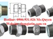 Nối hai đầu ren ngoài mạ kẽm   Quận Bình Tân 