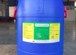 TYO COAT   chất áo bọc dẫn dụ 