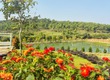 Cực chill với lô đất Bảo Lộc ngắm trọn view giá 450 triệu  Sổ sẵn 