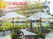 Thi công cảnh quan sân vườn quán café ở HCM, Đồng Nai, Vũng Tàu 