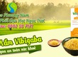 Gạo mầm Vibigaba 