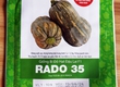 Hạt giống Bí đỏ hạt đậu lai F1 RADO 35 