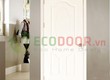 Cửa gỗ công nghiệp HDF Ecodoor 