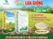 Bao bì đựng lúa giống 