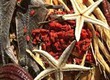 Bài thuốc ngâm rượu Minh Mạng thang 