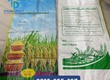 Bao bì đựng lúa giống 