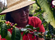 The Resonating Impact of Nordic Coffee Culture on the Global Stage 