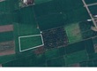 Cần ra gấp 4.440m2 đất lúa, giá ngộp chỉ 8,8 tỷ xã Nhị Thành, huyện Thủ Thừa, tỉnh...