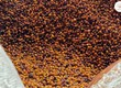 Delving into the Art of Co Fermenting Coffee 