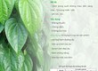 Trị mụn hiệu quả từ những nguyên liệu thiên nhiên 